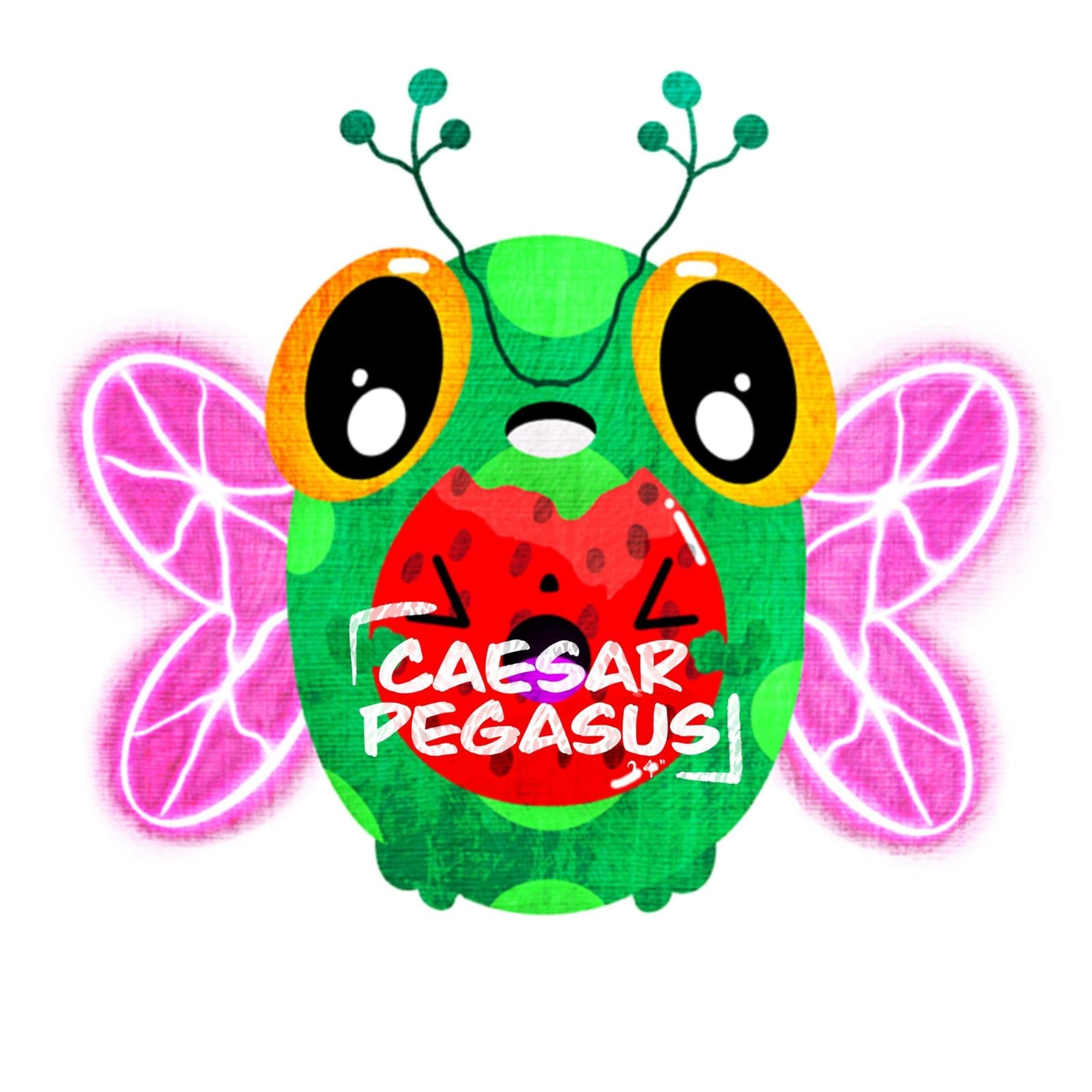 Watermelon image